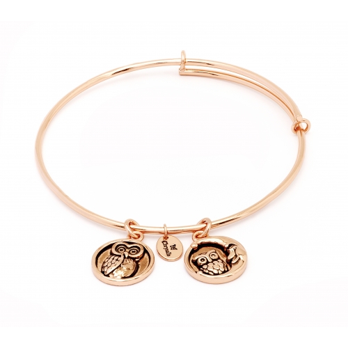 Bransoletka CHRYSALIS Wisdom Rose Gold